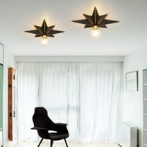 Noble House 16.1" Star Flush Mount Ceiling Light, Stylish Wall Decor Light, Golden Trim Design for Any Room, Black