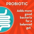 thumbnail image 4 of Align Probiotic, Gut Health + Stress Support, with Probiotics for Digestive Health and Ashwagandha to Help Calm Mind and Body*, #1 Doctor Recommended Brand, 21 Capsules, 4 of 11