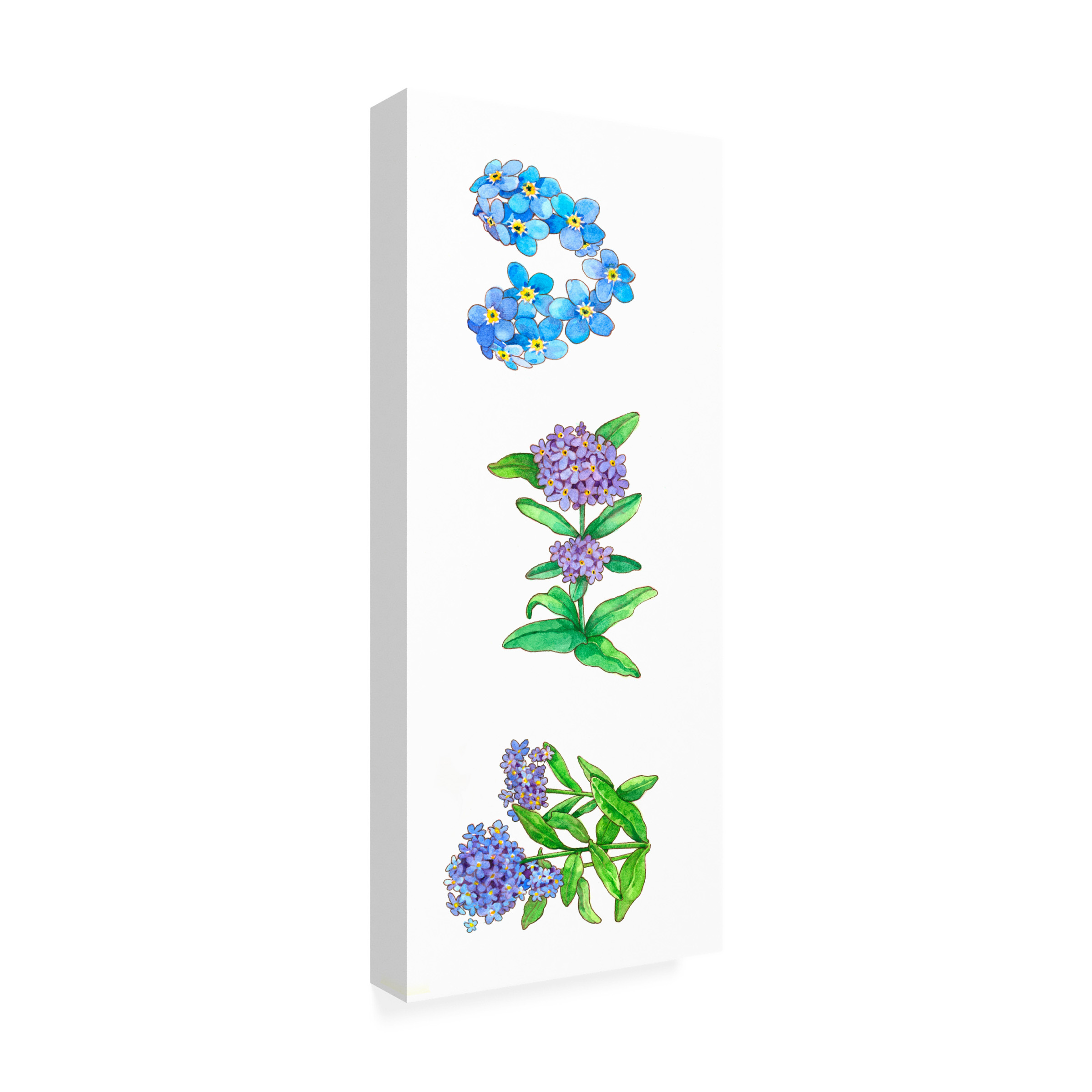 Wendy Edelson 'Forget Me Nots' Canvas Art