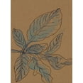 thumbnail image 2 of Delamater, Rob 25x32 White Modern Wood Framed Museum Art Print Titled - Little Plants of Big Sur XIII, 2 of 4