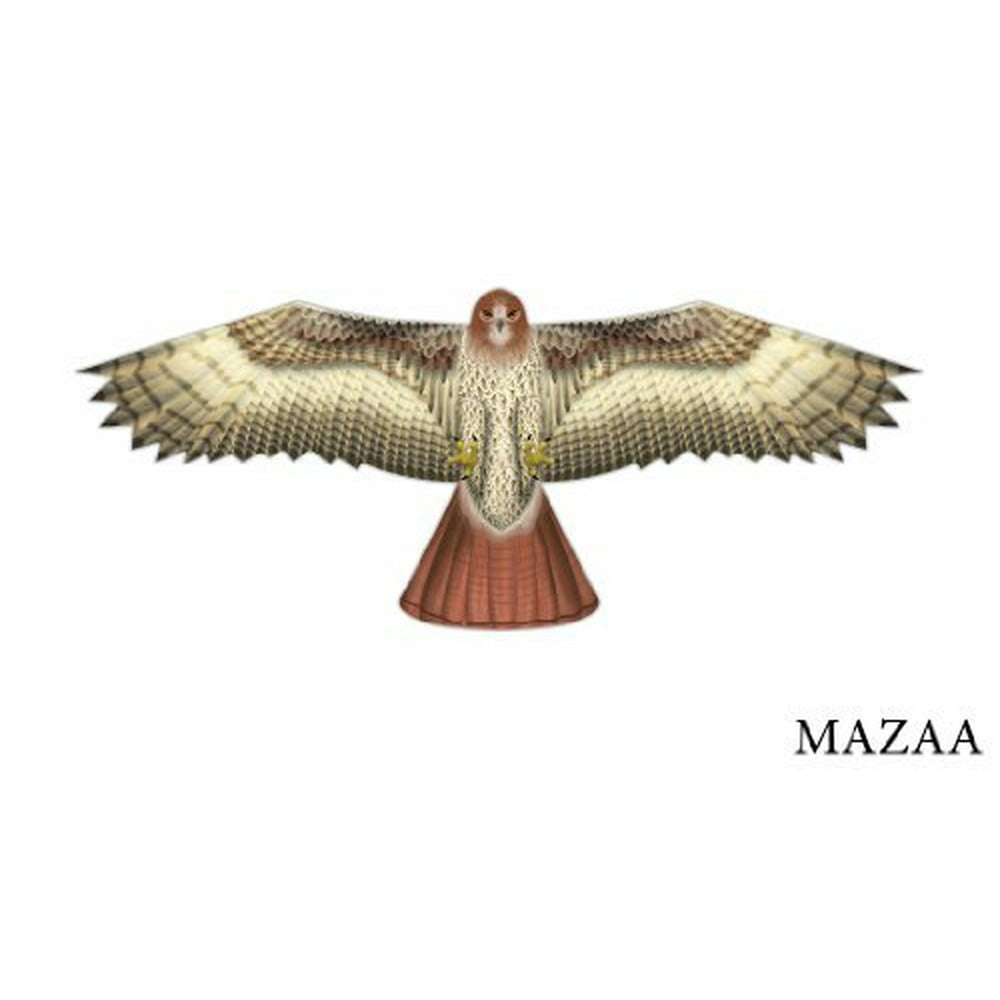 XKites Birds of Prey Kite 48" Hawk
