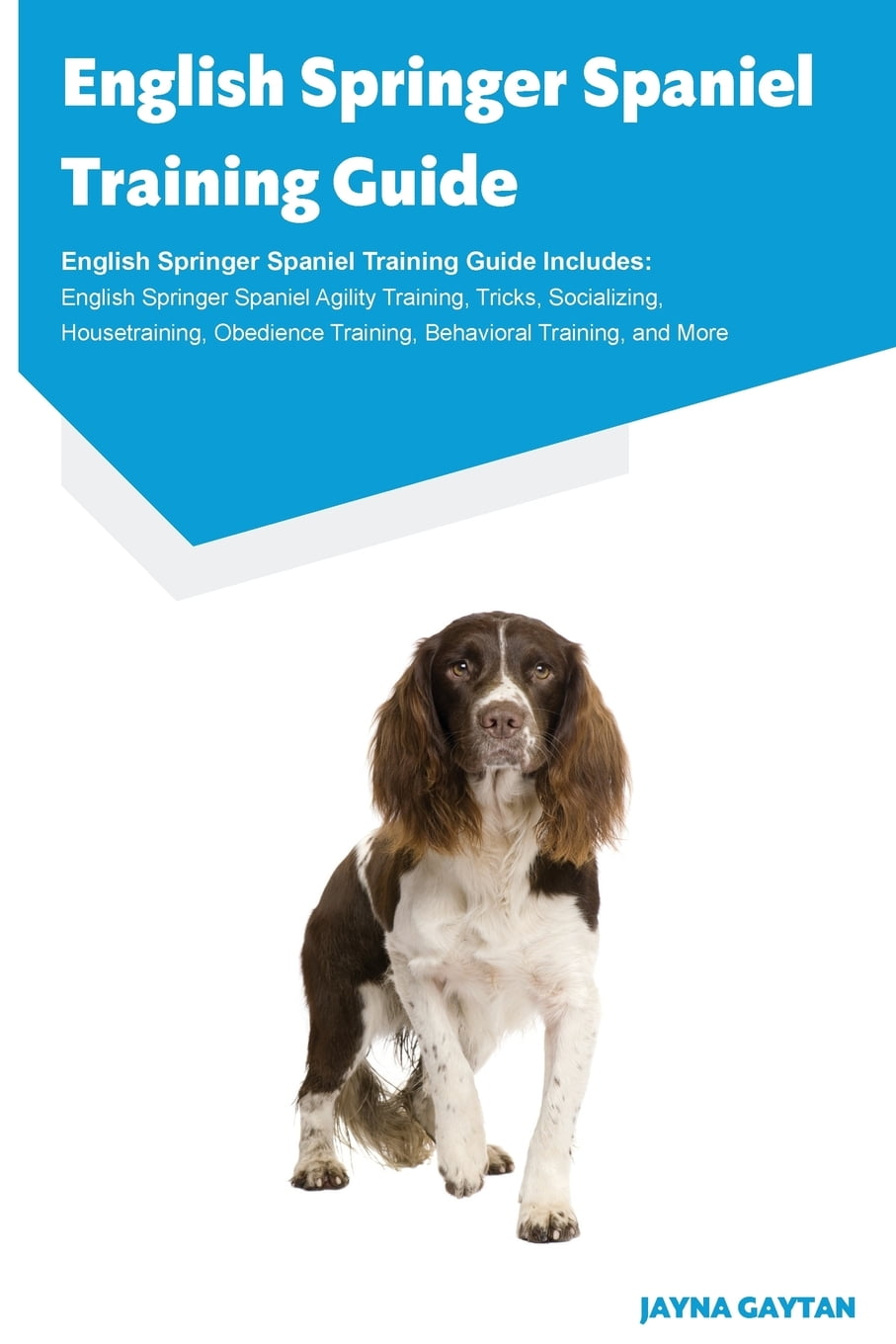 Training A Springer Spaniel In Obedience 2025