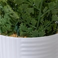 thumbnail image 2 of 2-Pack of 20" Faux Ferns with Real-Touch Leaves in White Ceramic Planters, 2 of 6