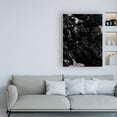 thumbnail image 3 of Trademark Fine Art 'Black Rock Fabrikken' Canvas Art by Design Fabrikken, 3 of 3