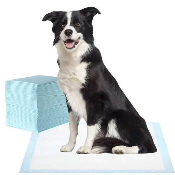100 Count Puppy Pet Training Pads, 24" x 24" Super-Absorbent Waterproof Dog and Puppy Pet Pad