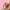 Pink, variant on Augper Wholesale Mini Portable Box Cutter,Retractable Utility Knife, DIY Small Retractable Paper Knife, School Stationery Cute Paper Cutter For Packages, Letters And Cardb