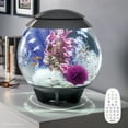 thumbnail image 3 of biOrb HALO 30 Aquarium with MCR Light - 8 gallon, gray, 3 of 9