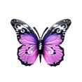 thumbnail image 1 of Escultura de mariposa, adorno de hierro antioxidante, arte decorativo de pared de metal. Violeta, 1 of 9