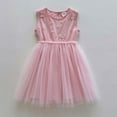 thumbnail image 4 of Hiijoy Toddler Girls Sleeveless Tutu Dress Embroidery Summer Casual Dress, Sizes 6M-6Y, 4 of 4