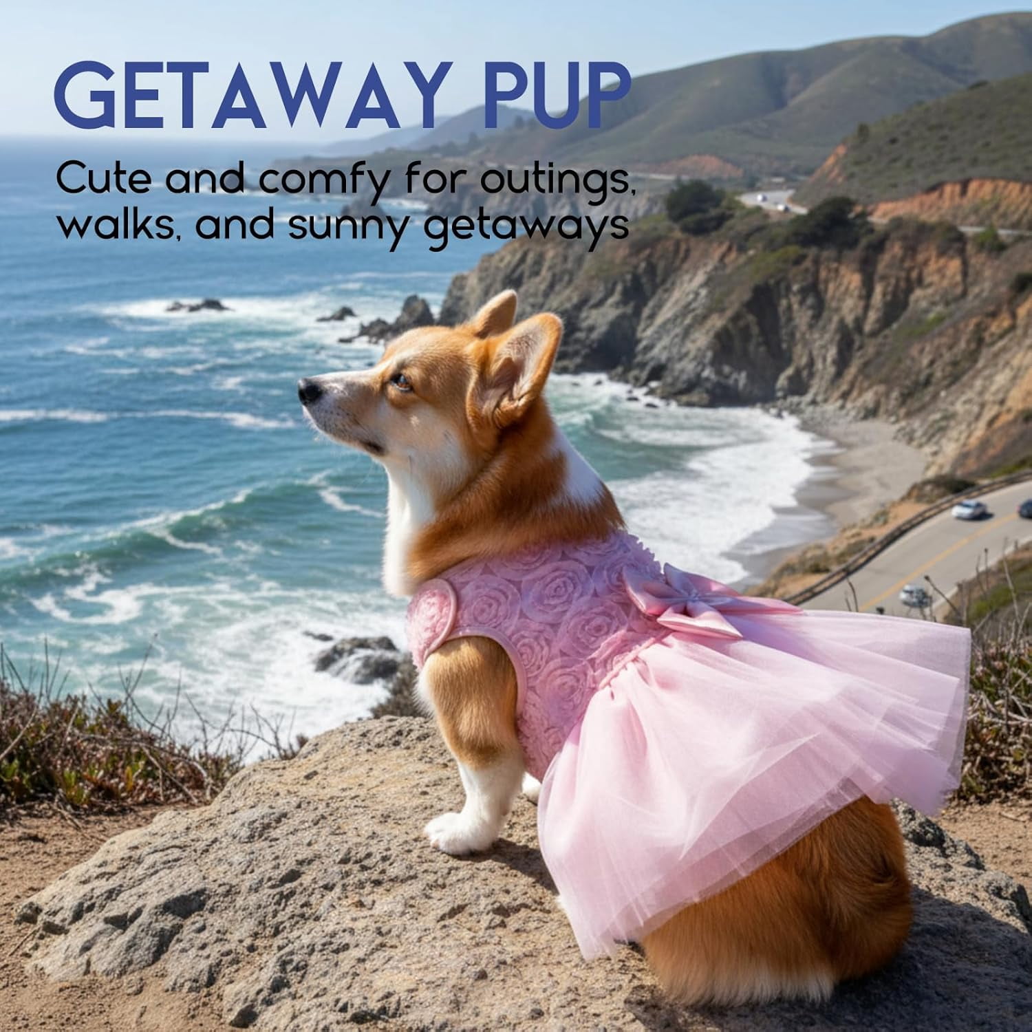 Petbb Dog Dress Pet Wedding Dress Princess Lace Puppy Birthday Party Outfit Formal Apparel Girl for Small Medium Dogs Cats (Small, Pink)