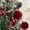 Red-RD Home Decor, variant on Super Savings Week karymi Christmas Decorations 8Cm4Pcs Flocked Balls Multi Color Plushs Flocked Christmas Balls Window Hangings House Decor Weekly Deal up to 90% off