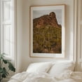 thumbnail image 6 of Ventana Canyon Cacti - Catalina Foothills Arizona Photography Desert Cactus Landscape Nature Scenic Wilderness Mountain Unframed Wall Art Print 30 x 40 inches, 6 of 13