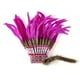 thumbnail image 4 of Tocado de plumas de jefe indio americano para disfraz de fiesta de cosplay Púrpura, 4 of 7