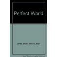 thumbnail image 1 of Pre-Owned Perfect World (Hardcover) 043967364X 9780439673648, 1 of 1