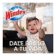 thumbnail image 3 of Limpiador líquido Windex original 640 ml, 3 of 3