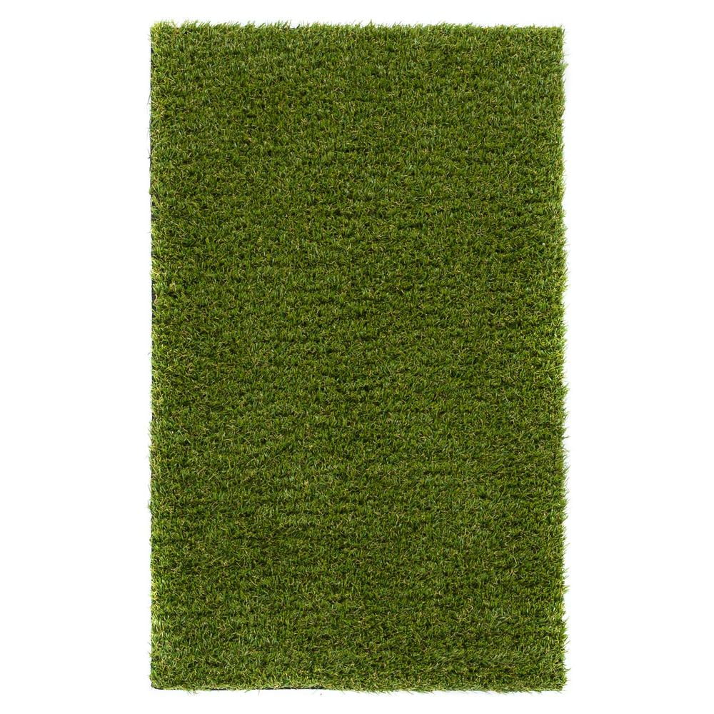 Well Woven Arcadia 1' 8" x 2' 7" Artificial Grass Indoor/Outdoor Turf
