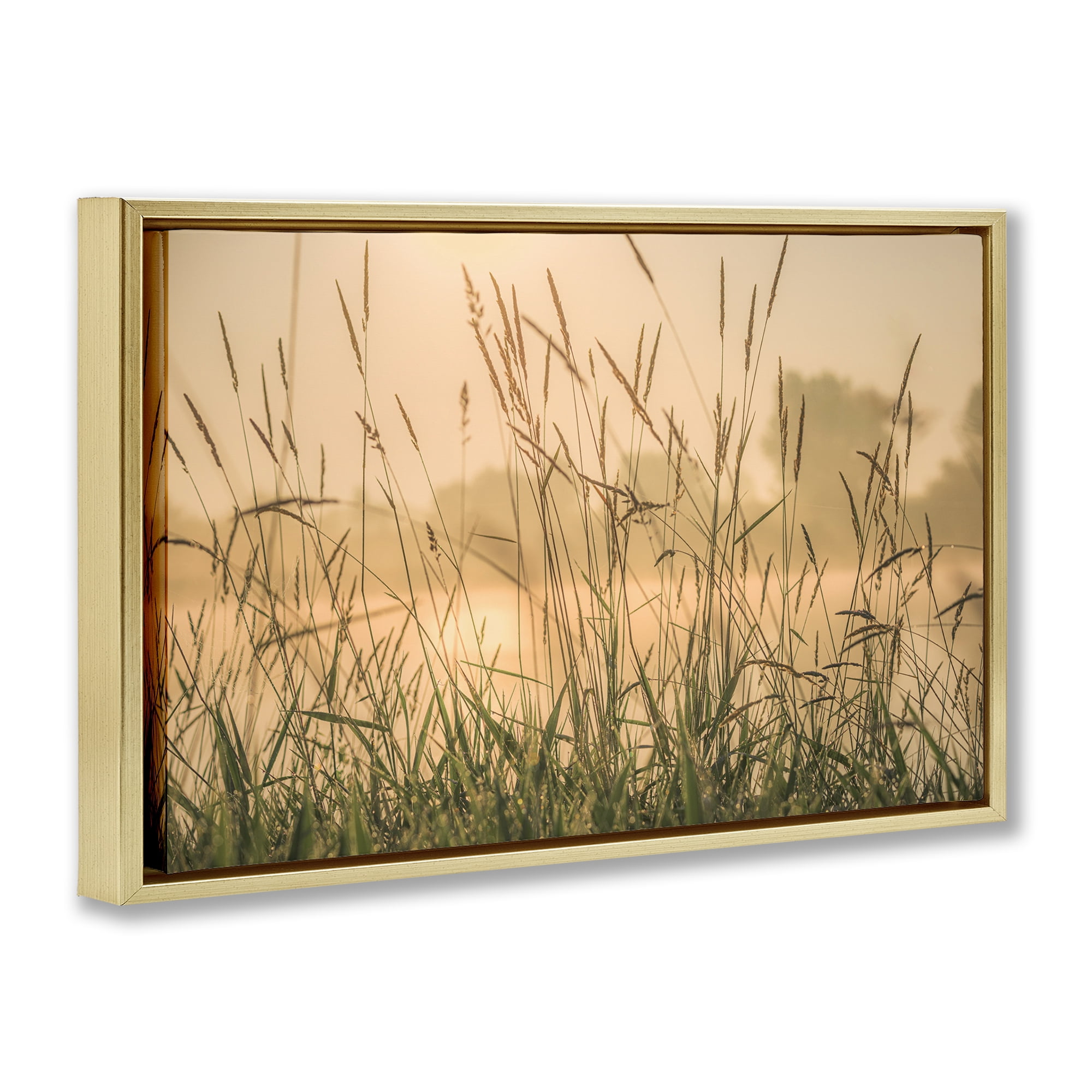 Stupell Industries Grassy Country Reeds Landscape & Nature Photography Gold Floater Framed Canvas Art Print Wall Art, 25 x 17