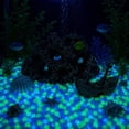 thumbnail image 5 of 200PCS Glow in The Dark Pebbles, Rainbow Glow in the Dark Rocks Outdoor Pathways, Garden, Walkway, Aquarium and Yard Decor, Waterproof Night Guide Rocks for DIY Landscape Lighting, 5 of 6
