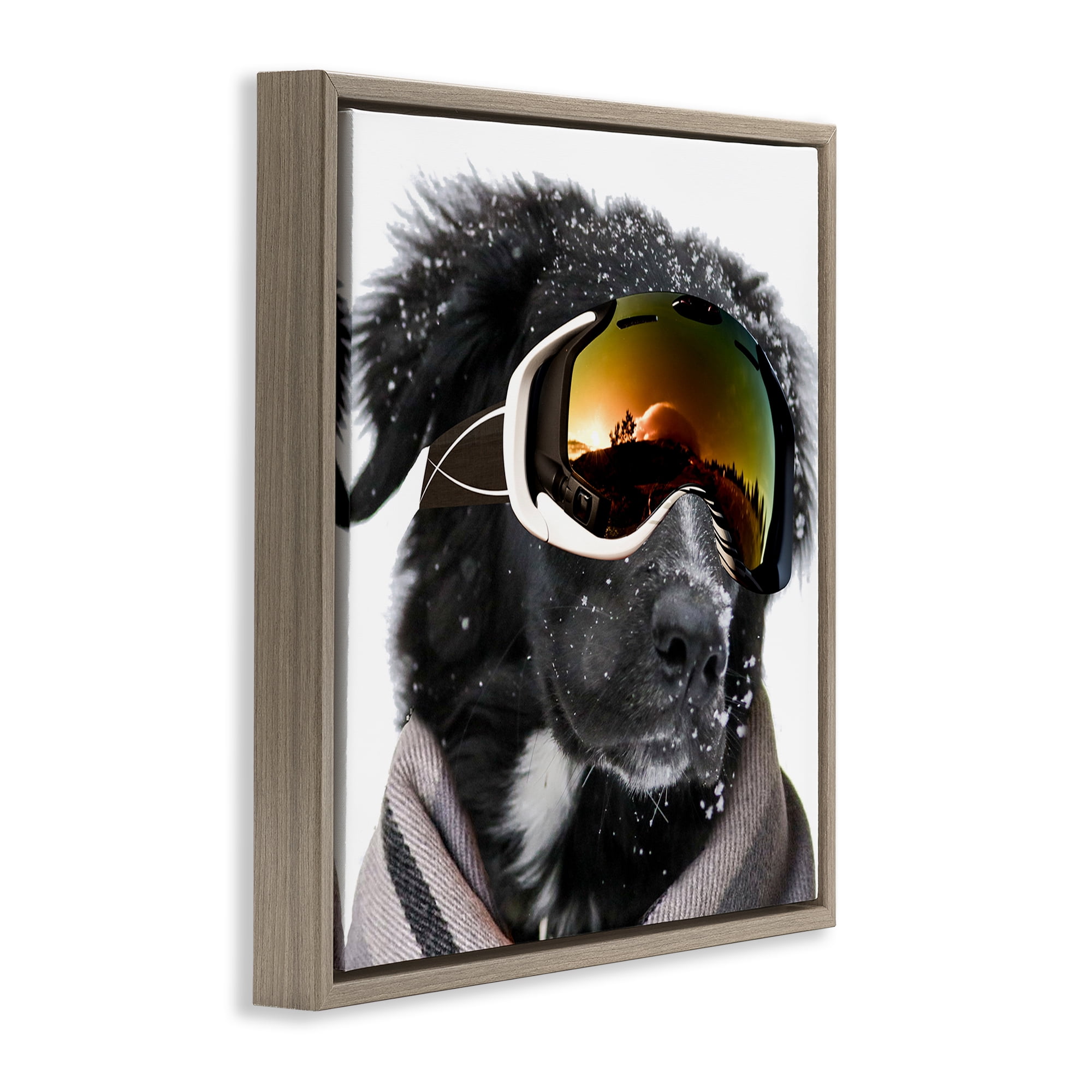 Stupell Industries Snowboarder Dog with Goggles Animals & Insects Painting Brown Floater Framed Canvas Art Print Wall Art, 25 x 25