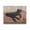 Cozy Black Lab Napping, variant on Stupell Industries Rustic Lodge Blue Fox Resting Among Leaves Black Floating Frame Canvas Art, 21 x 17, by Franklyn Gregory