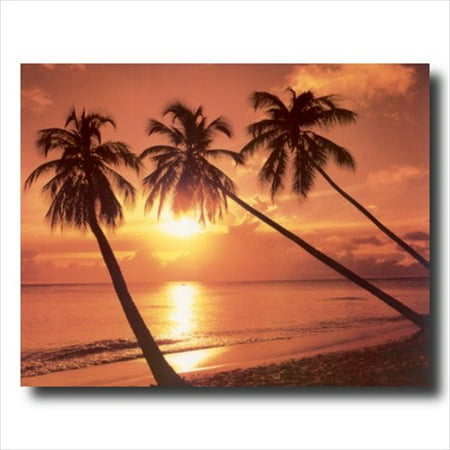 Hawaiian Ocean Palm Tree Beach Wall Picture Art