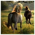 thumbnail image 2 of ABPHOTO Polyester Grassland, horse, wooden column scenery Photography Backdrops Studio Background Photo Backdrops Studio Props 7x5ft, 2 of 3