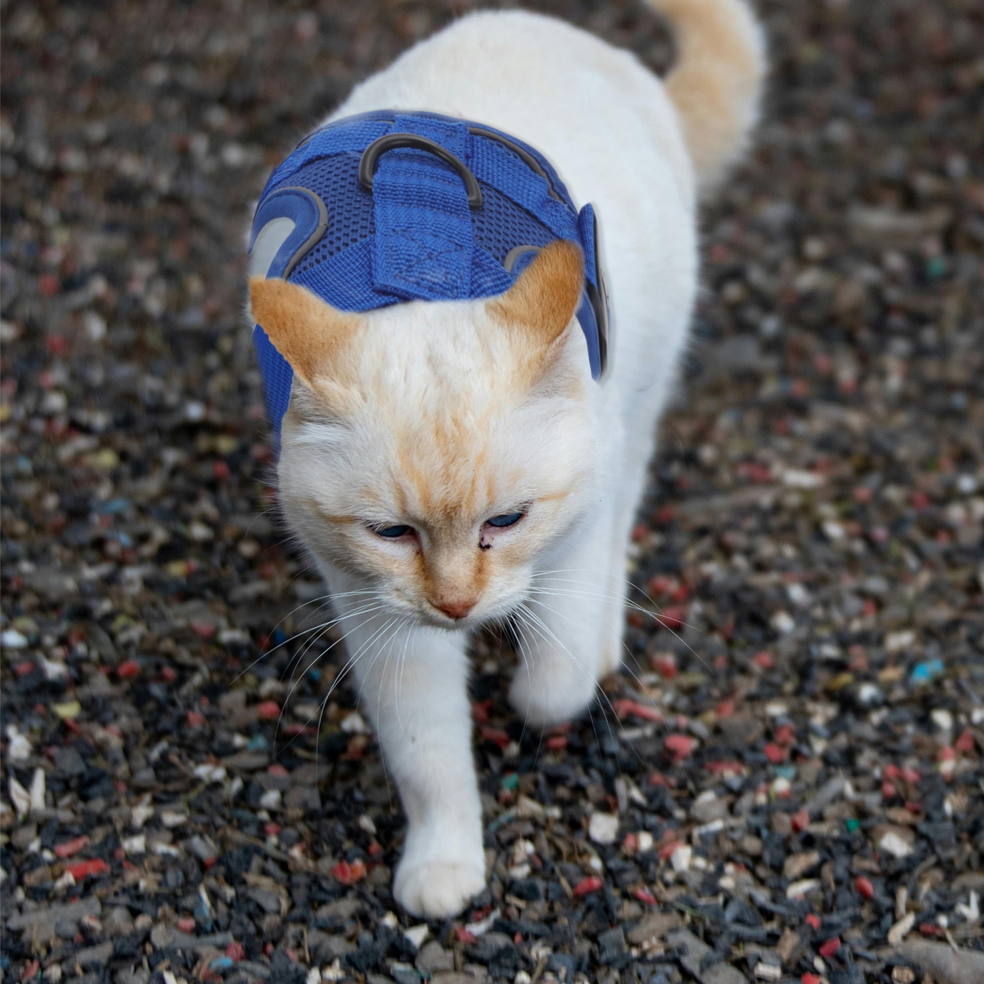 Unique Bargains Adjustable Cat Harness Leash Set With Reflective Strips Blue S