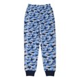 Micro Fleece Sleep Pants Value 2 Pack (Little Boy & Big Boy)