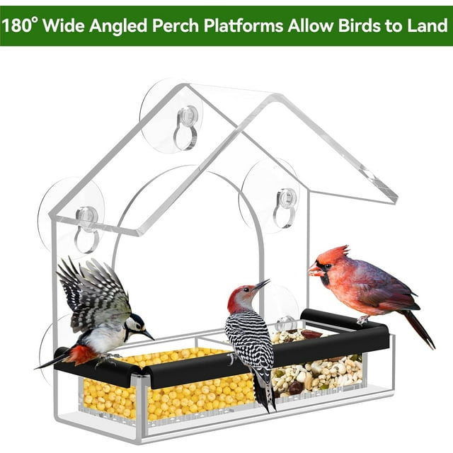 Innotechsc Comedero para Pájaros con Ventosas Fuertes (Transparente) Comederos para Pájaros para Exteriores con Bandeja Extraíble y Gran Capacidad de Semillas