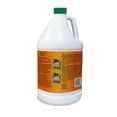 Rust Stain Liquid American Hydro Systems 2662 Rid O' Rust Liquid Rust Stain Remover, 1 ...