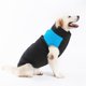 thumbnail image 2 of Ropa para perros lana dorada engrosada otoño e invierno perro grande, 2 of 6