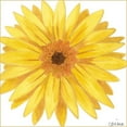 thumbnail image 3 of Vess, June Erica 15x15 Black Modern Framed Museum Art Print Titled - Bright Blossoms IV, 3 of 5