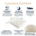 thumbnail image 3 of Cheer Collection Latex Foam Pillow for Sleeping with Soft Washable Bamboo Cover, 3 of 4