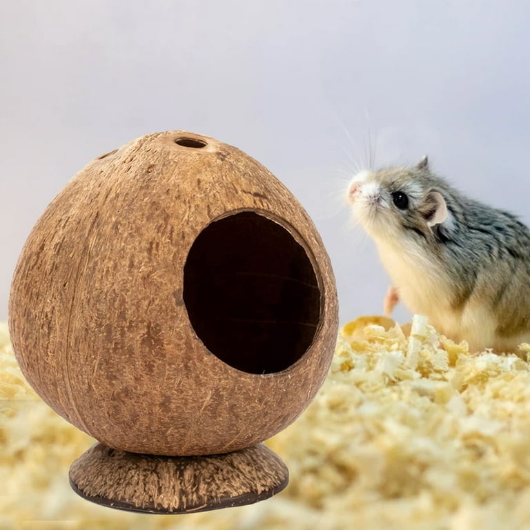 Bite Resistant Hamster House Natural Coconut Shell Hideout Toy for Guinea Pigs and Hamsters