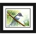 thumbnail image 1 of Shefranov, Olga 14x12 Black Ornate Wood Framed with Double Matting Museum Art Print Titled - Woodpecker II, 1 of 4