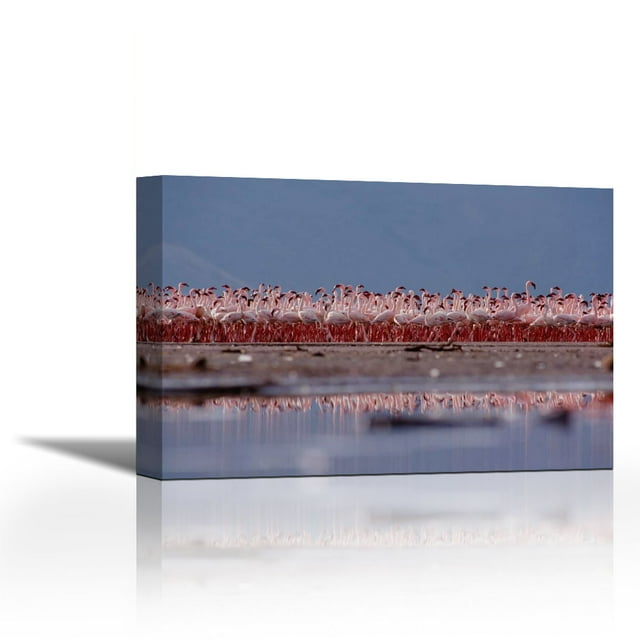 Lesser Flamingo flock parading in a mass courtship dance, Lake Bogoria, Kenya - Contemporary Fine Art Giclee on Canvas Gallery Wrap - wall décor - Art painting - 30 x 20 Inch - Ready to Hang