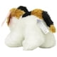 thumbnail image 5 of Peluche Esmeralda Aurora Niño Gato 20 CM Aurora Esmeralda, 5 of 6