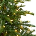 thumbnail image 6 of Nearly Natural 5' Spruce Artificial Christmas Tree Prelit 200 Clear Lights, 6 of 11