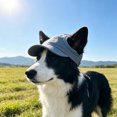 thumbnail image 4 of Dog Baseball Cap, Dog Sun Hat,Breathable Lightweight Design, Secure Adjustable Chin, Quick-Dry Fabric Reinforced Brim Small Medium Large Dogs Dark Blue, 4 of 6