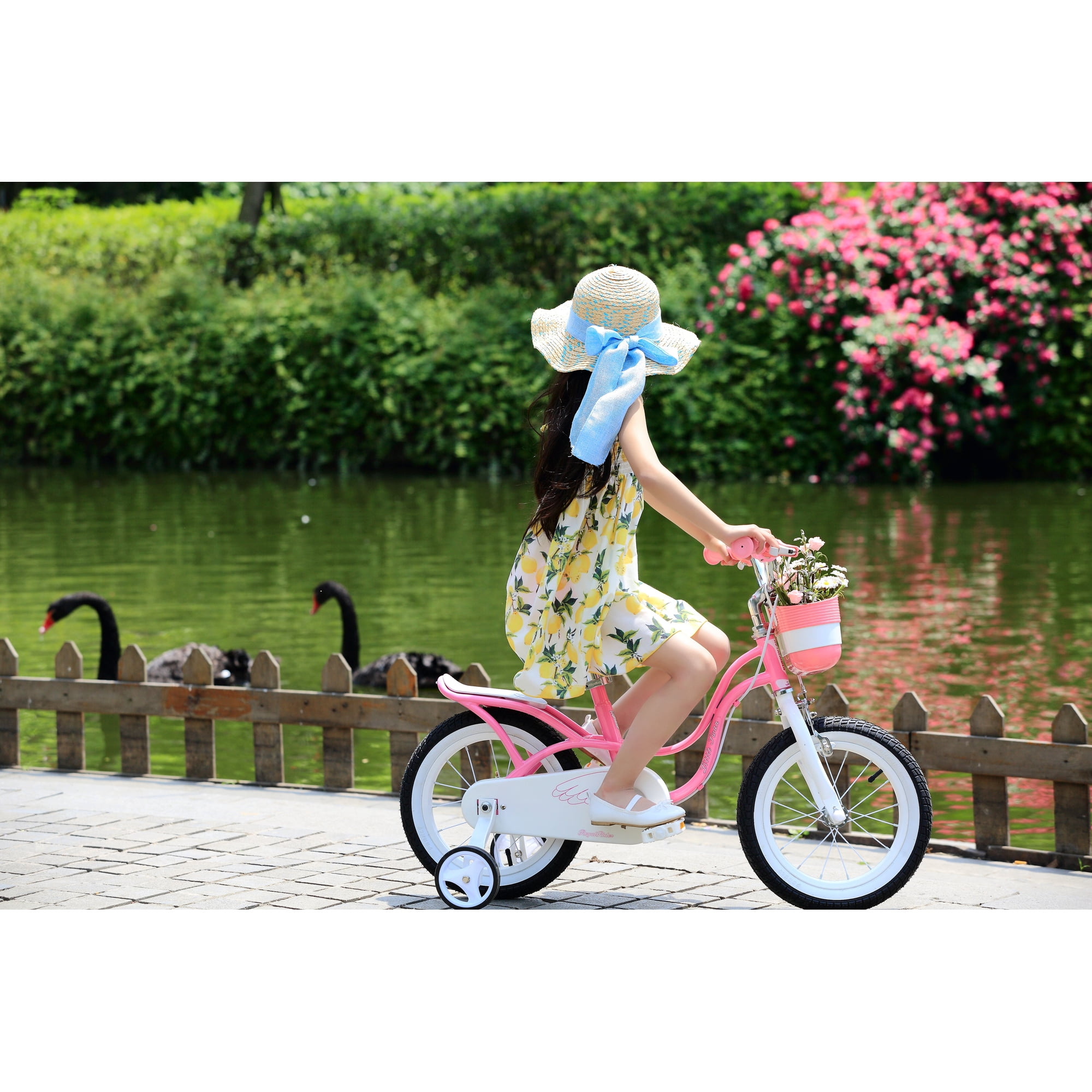 royal baby little swan 16