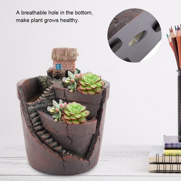 Eastbuy Macetas para Cactus - House Design Cactus Resina Maceta Maceta  Jardn Suculenta Maceta para la decoracin de Escritorio en casa | Bodega  Aurrera en lnea