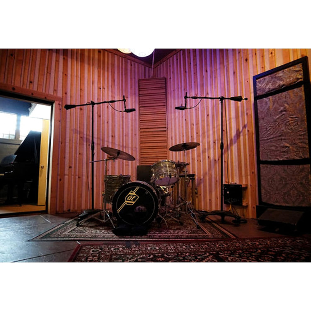 sE Electronics X1-S X1 Series Large Condenser Microphone and Clip