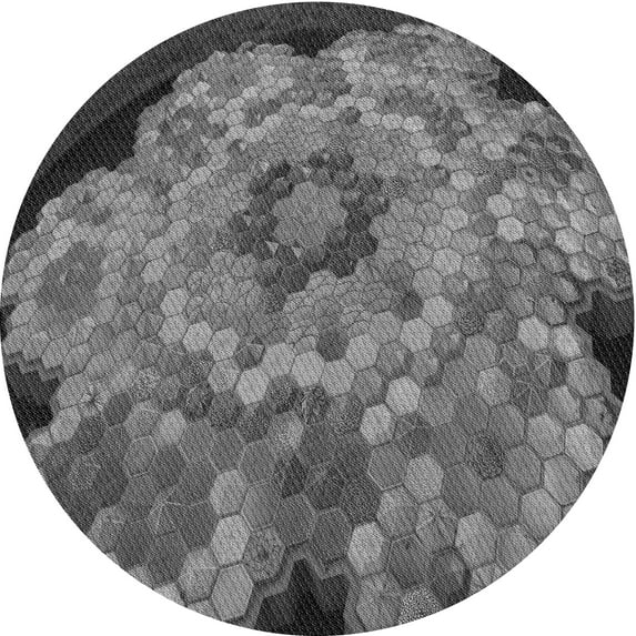Ahgly Company Indoor Round Patterned Gunmetal Gray Area Rugs, 5' Round