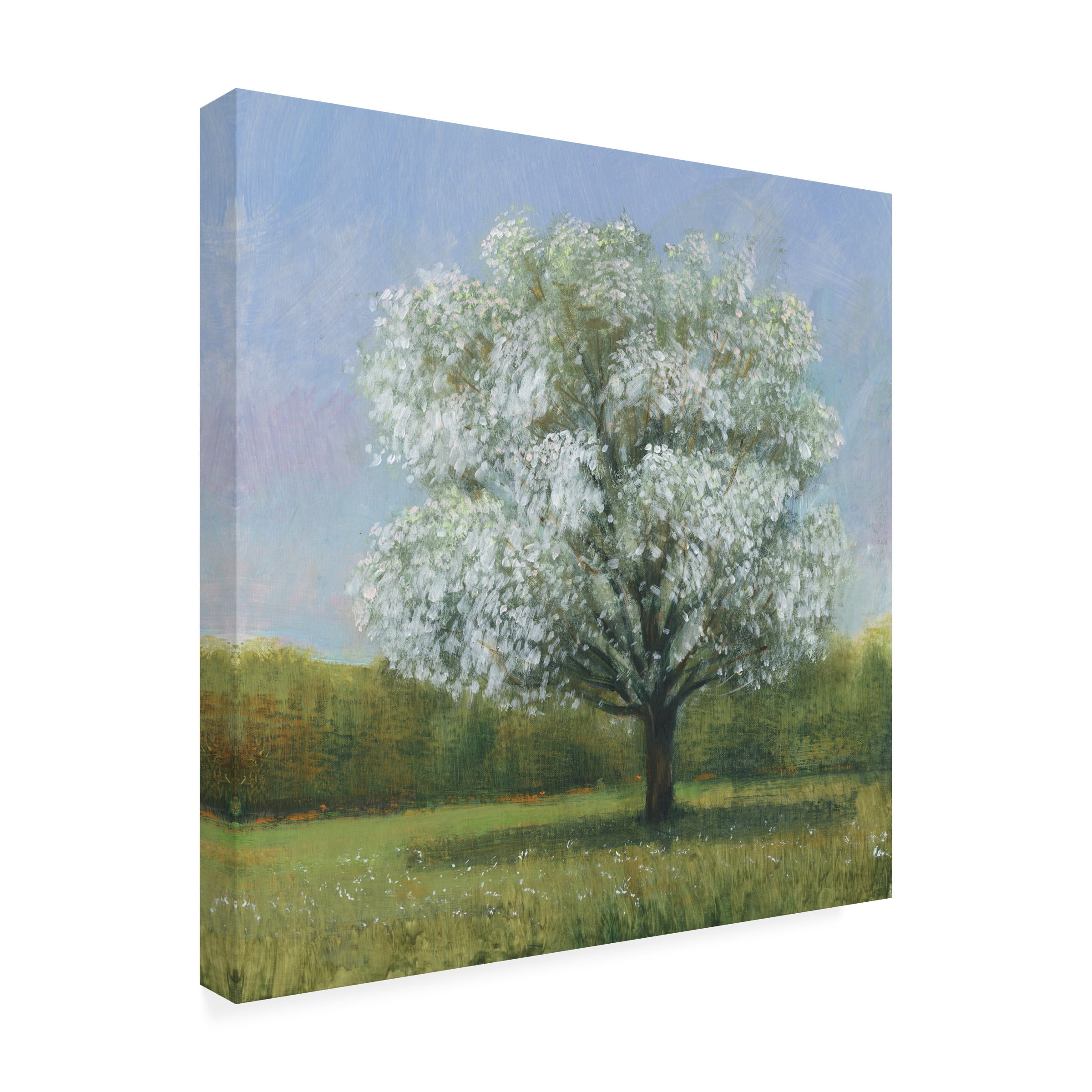 Tim OToole 'Spring Blossom Tree II' Canvas Art