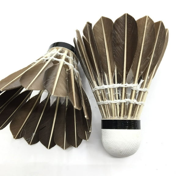 HEMOTON 12 Pcs Badminton Outdoor Sports Shuttlecocks Fitness Shuttlecocks Black