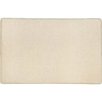 Pure Era Carpet Stair Tread Landing Mat Indoor Doormat Floor Beige 2'x3'