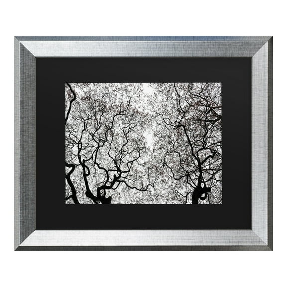Trademark Fine Art 'Japanese Maple Spring Abstract' Canvas Art by Kurt Shaffer