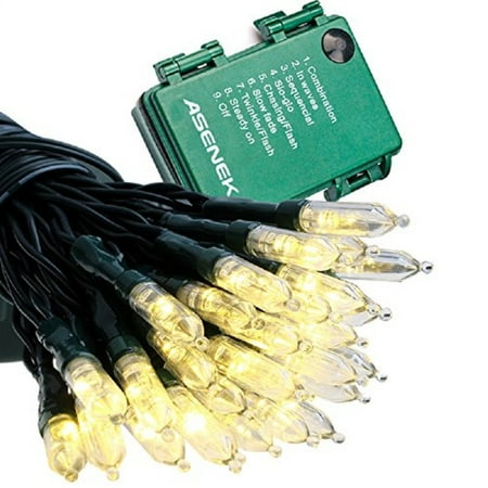 Asenek Outdoor String Lights 100led Lights 100led String