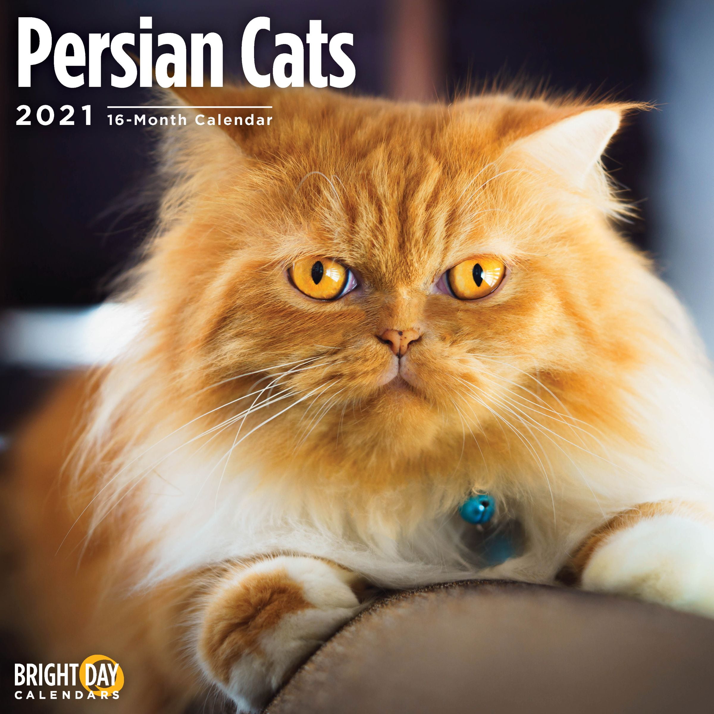 Office Products Calendars, Planners & Personal Organizers 2020 Persian