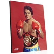Roberto Duran Posed 16"x20" Stretched Canvas